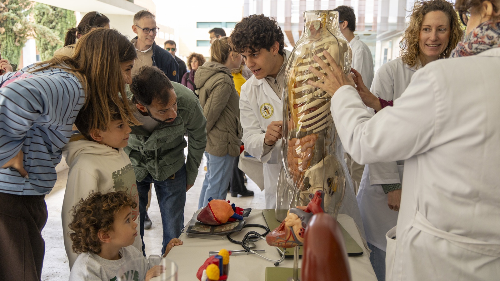 El Museo Anatómico de la UVa llevó algunas piezas de su muestra para ilustrar cómo es el cuerpo humano por dentro