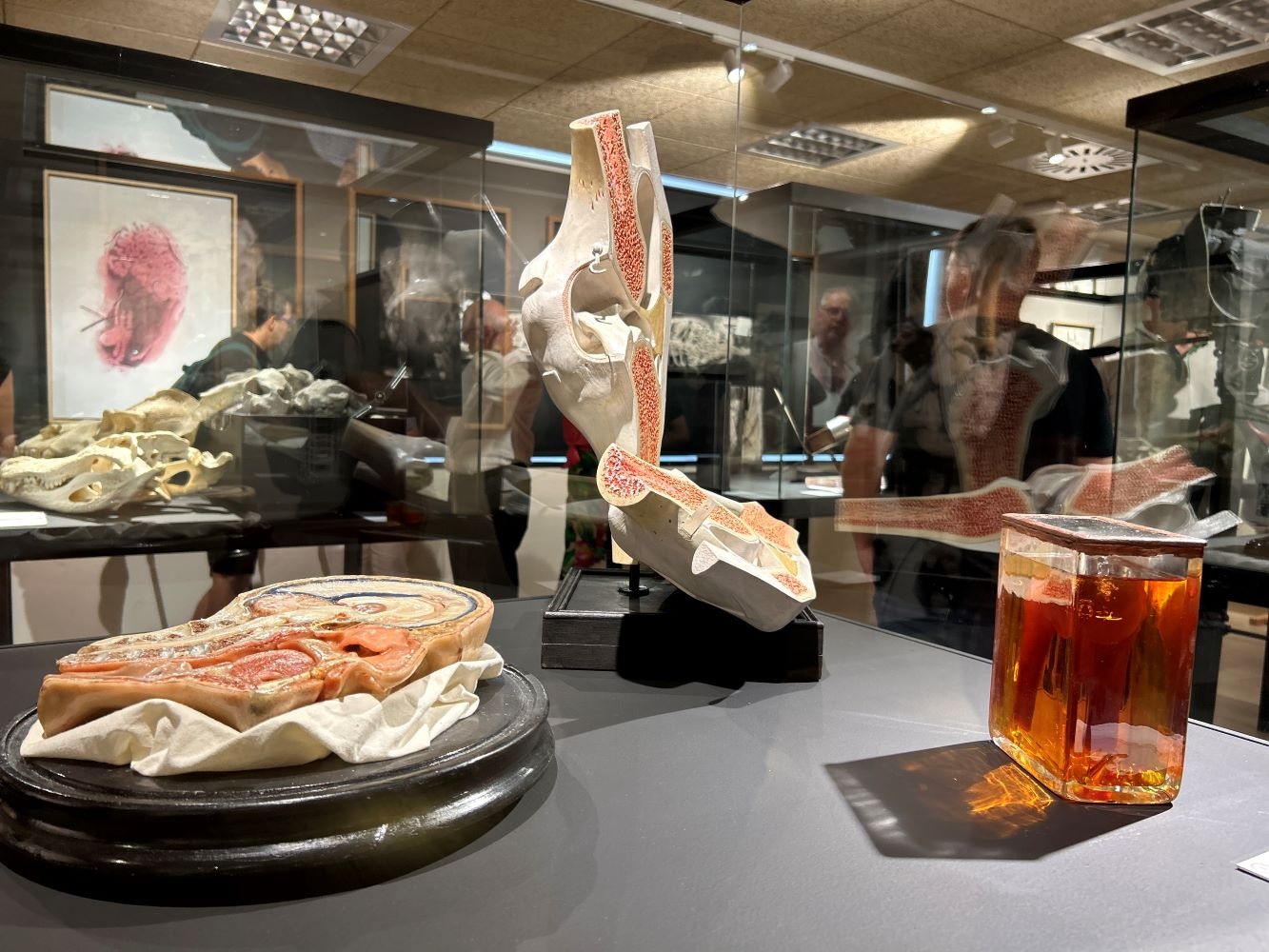 expo_Masero