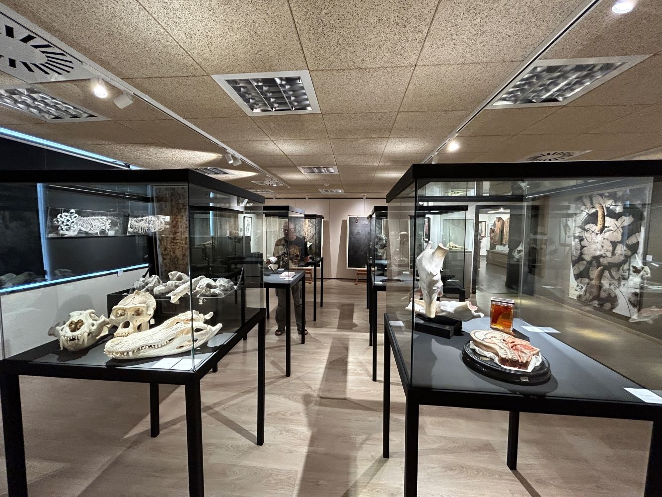 expo_Masero