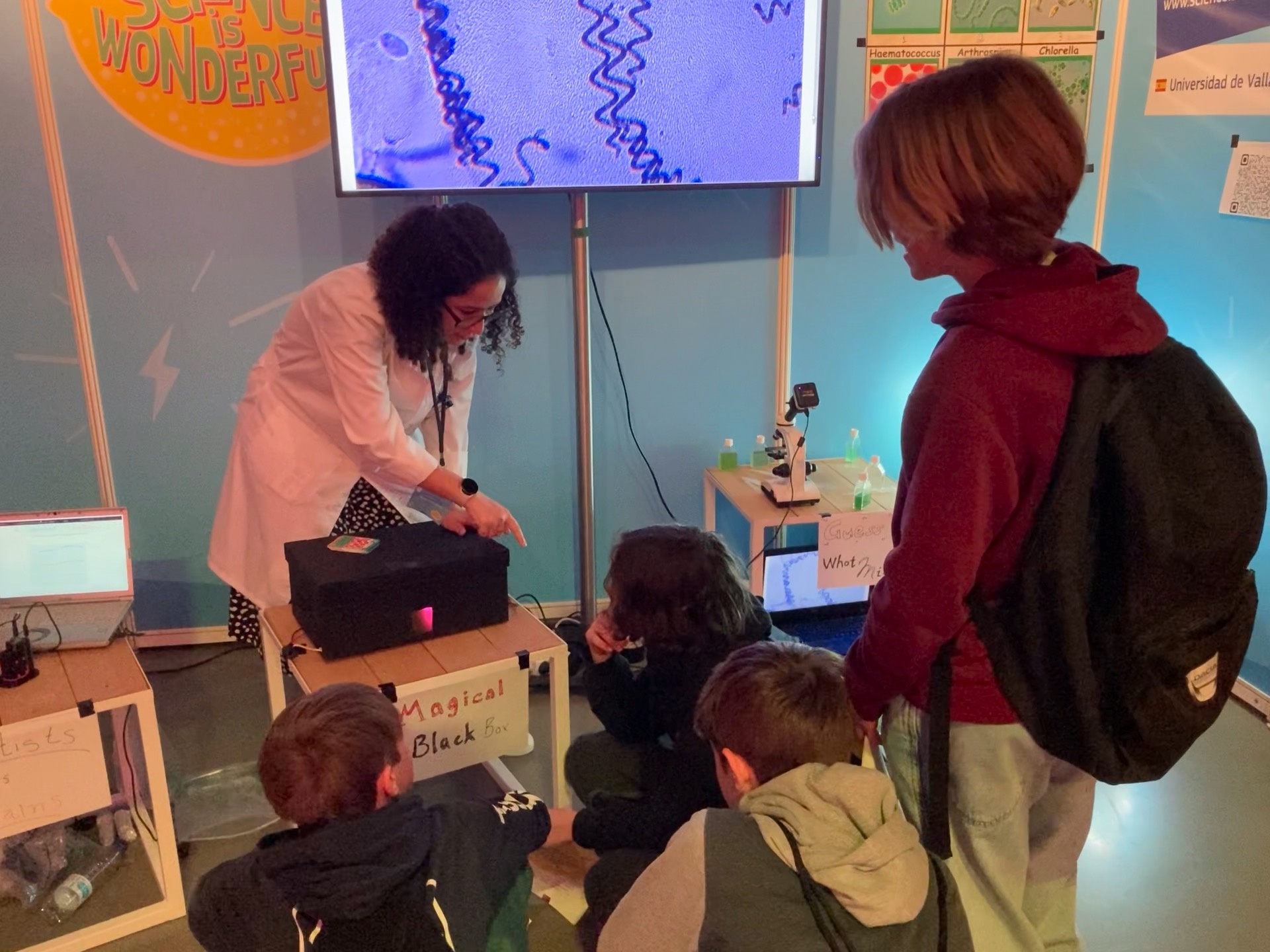 Asistentes realizando las actividades propuestas por los investigadores de la UVa.