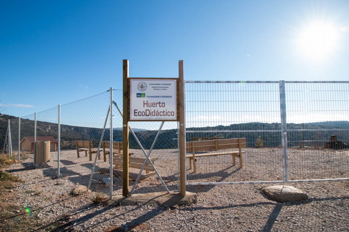 Eco-didactic kitchen gardens