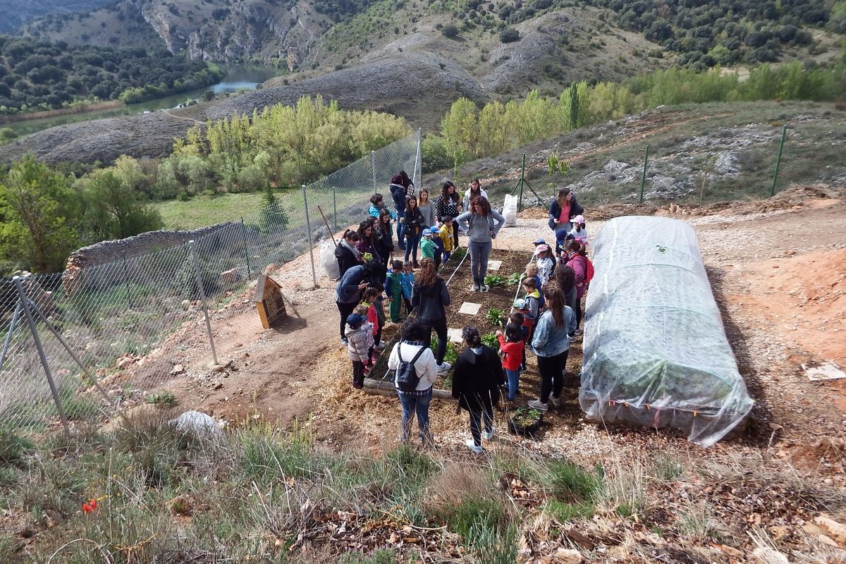 Eco-didactic kitchen gardens