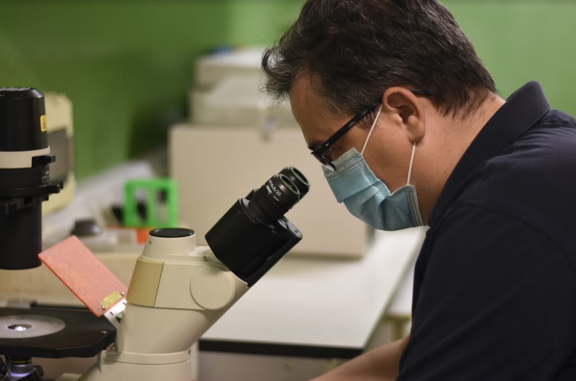 Carlos Villalobos, al microscopio. Foto: IBGM.