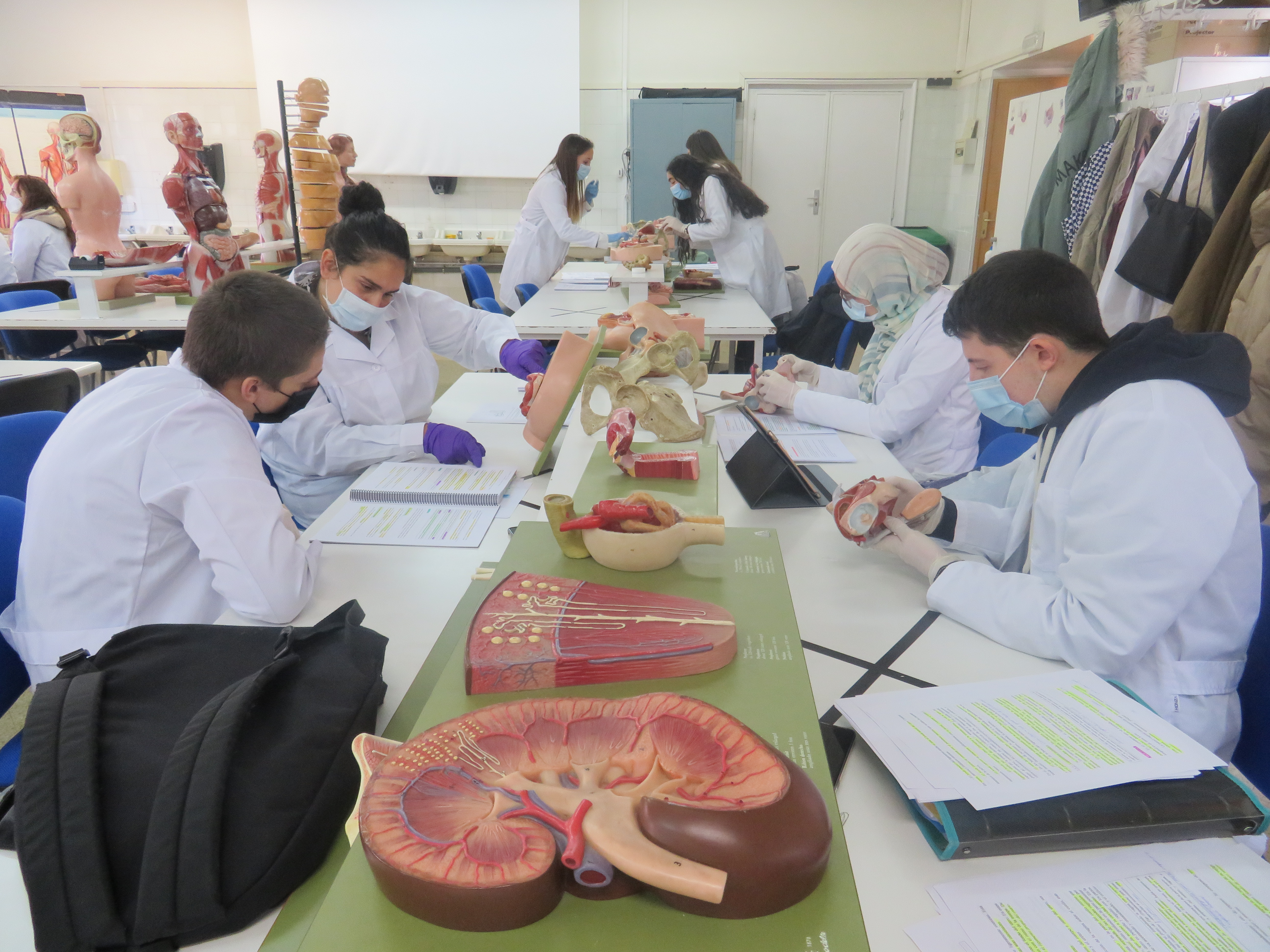 Una de las salas  en la que el alumnado recibe formación con réplicas de la anatomía humana