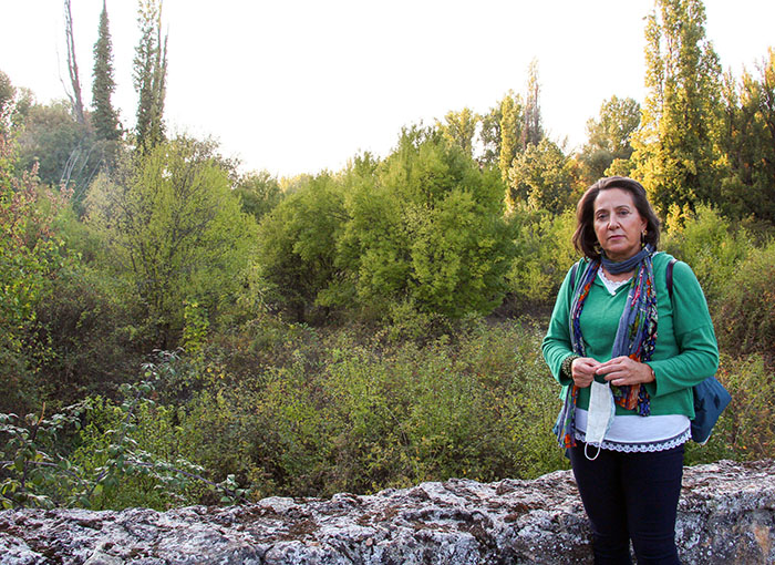 Proyecto Agricultrua Sostenible
