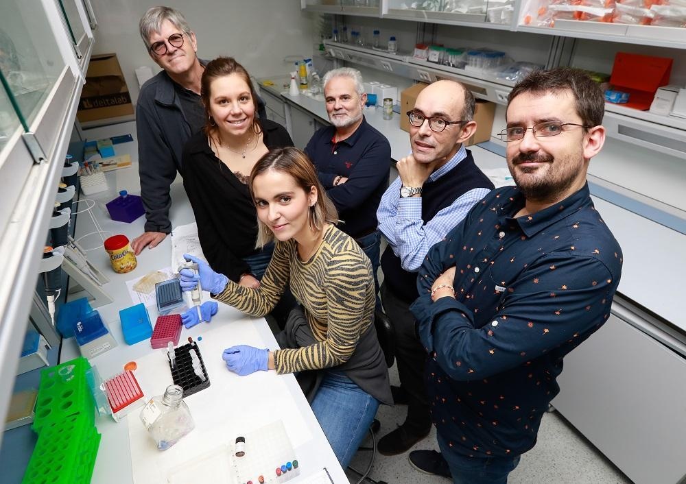 En primer plano, David Bernardo, junto al equipo de investigación del IBGM, que lidera Eduardo Arranz (fondo)