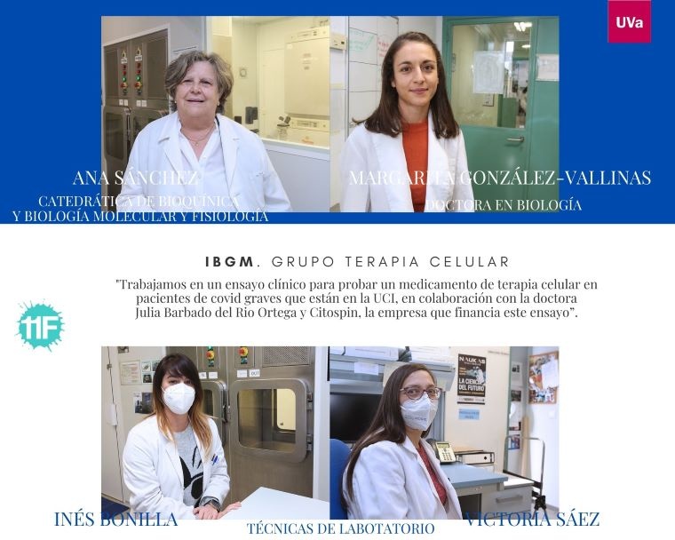 IBGM