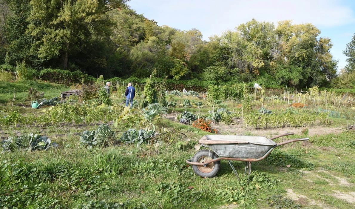 Huerto ecosocial
