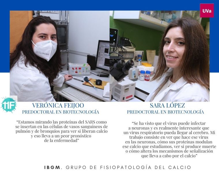IBGM