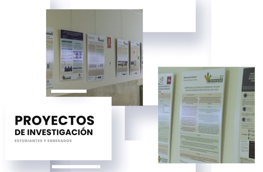proyectos CCI
