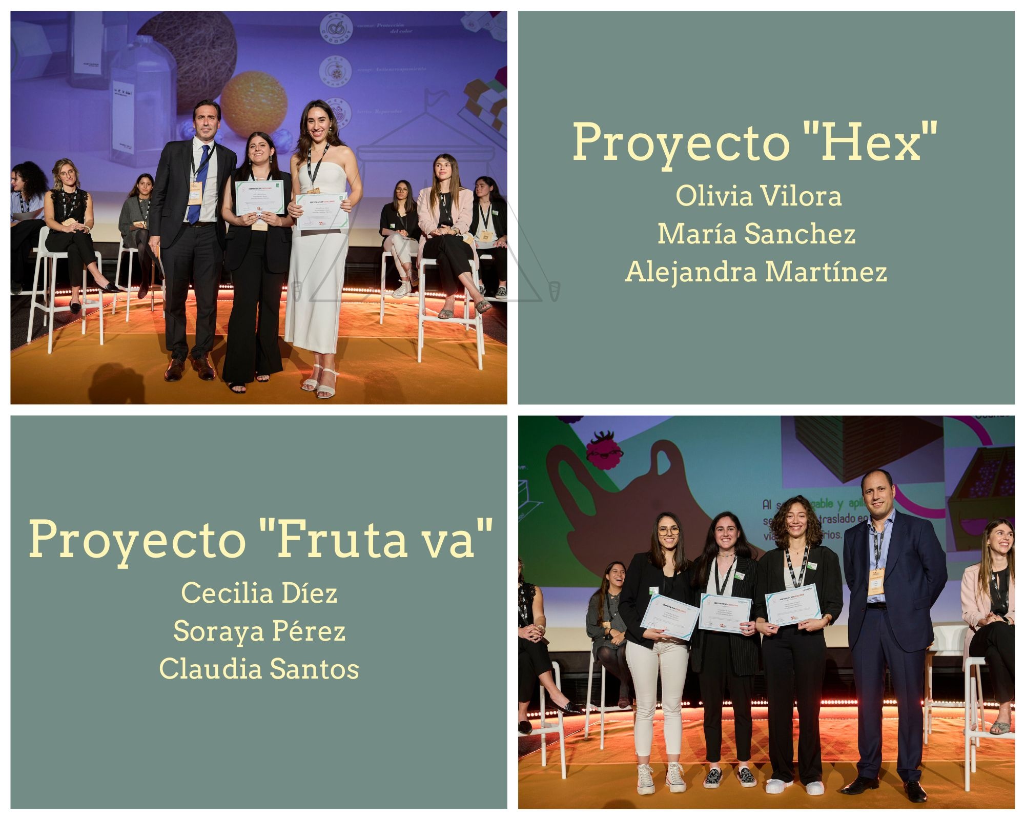 Imágenes con los proyectos finalistas de la Universidad de Valladolid