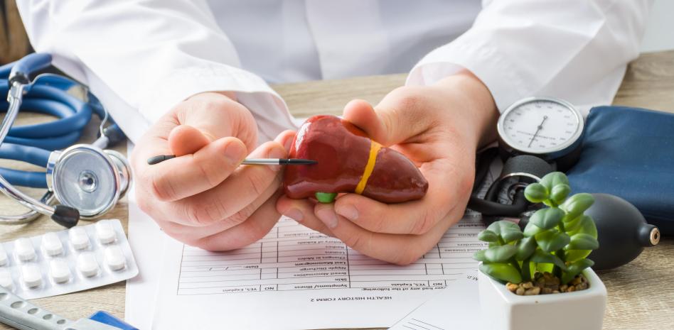 Obesidad, diabetes y síndrome metabólico predisponen a padecer hígado graso