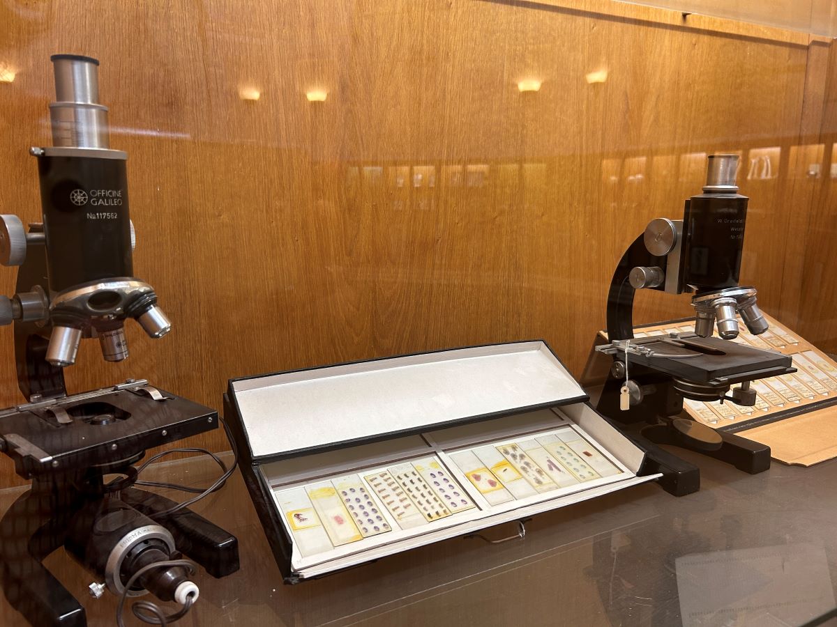 anfiteatro_RLP_Medicina