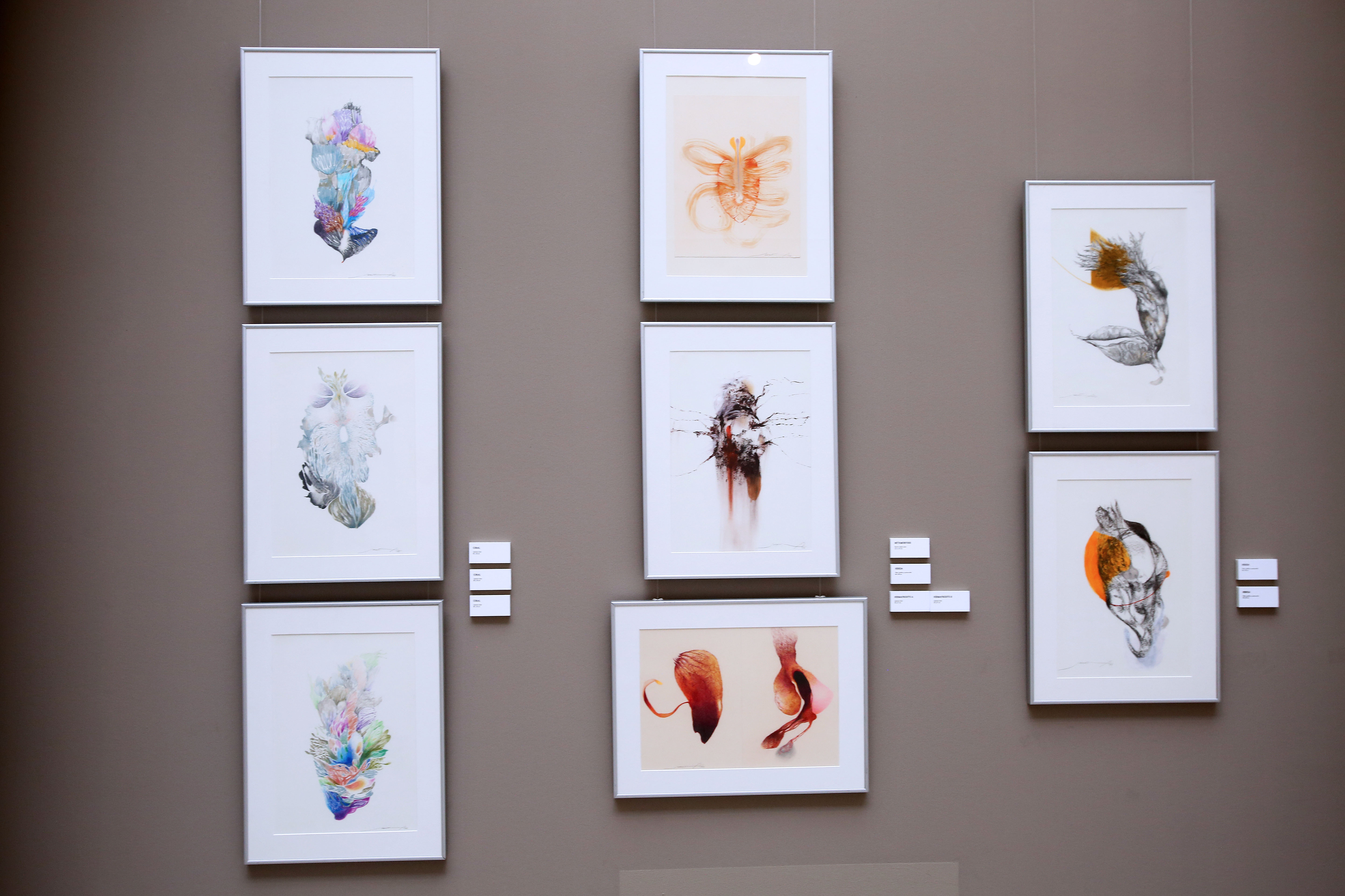 Parte de la exposición "La Senda Escondida"