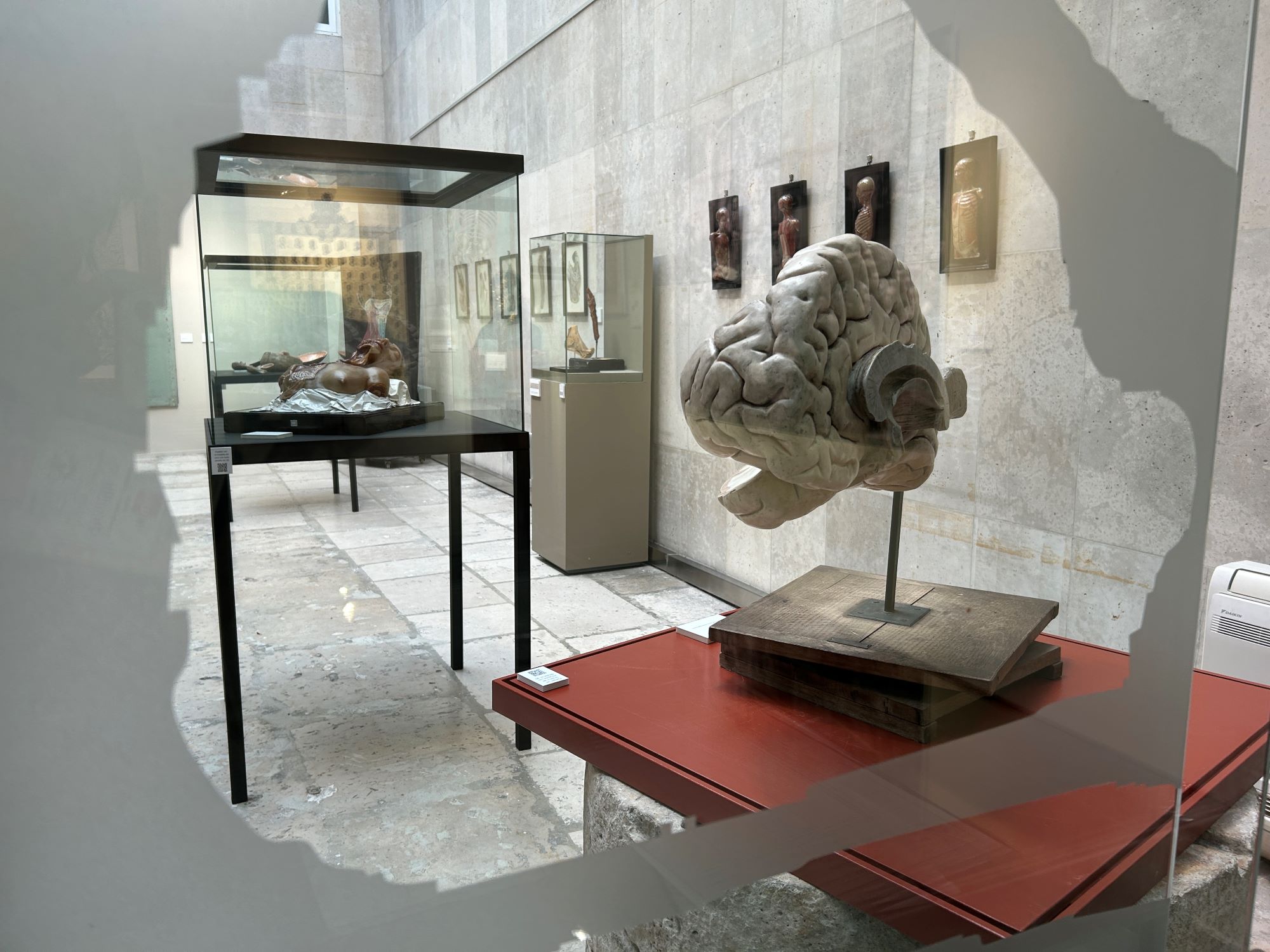 MUVA_expoMedicina