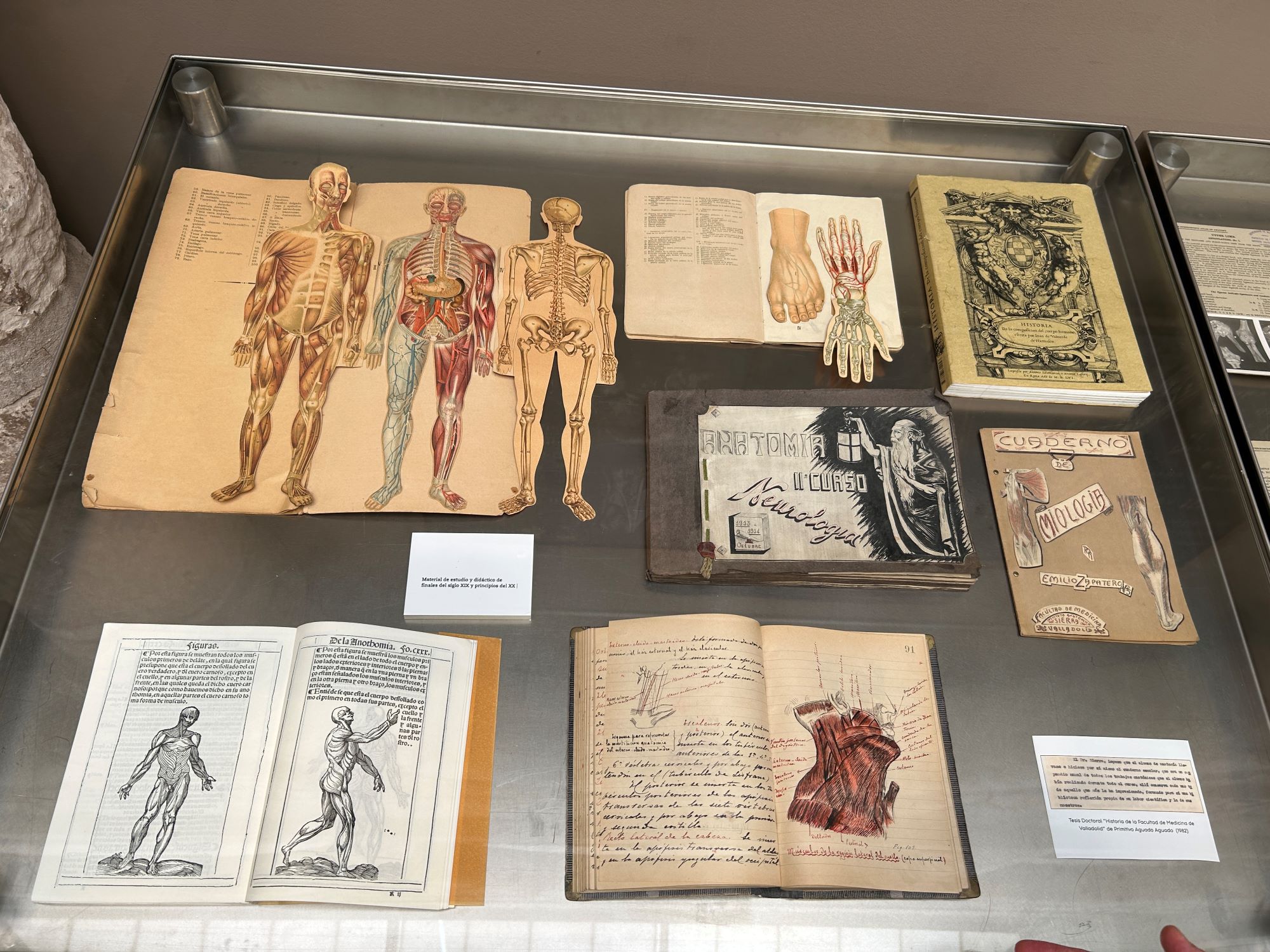 MUVA_expoMedicina