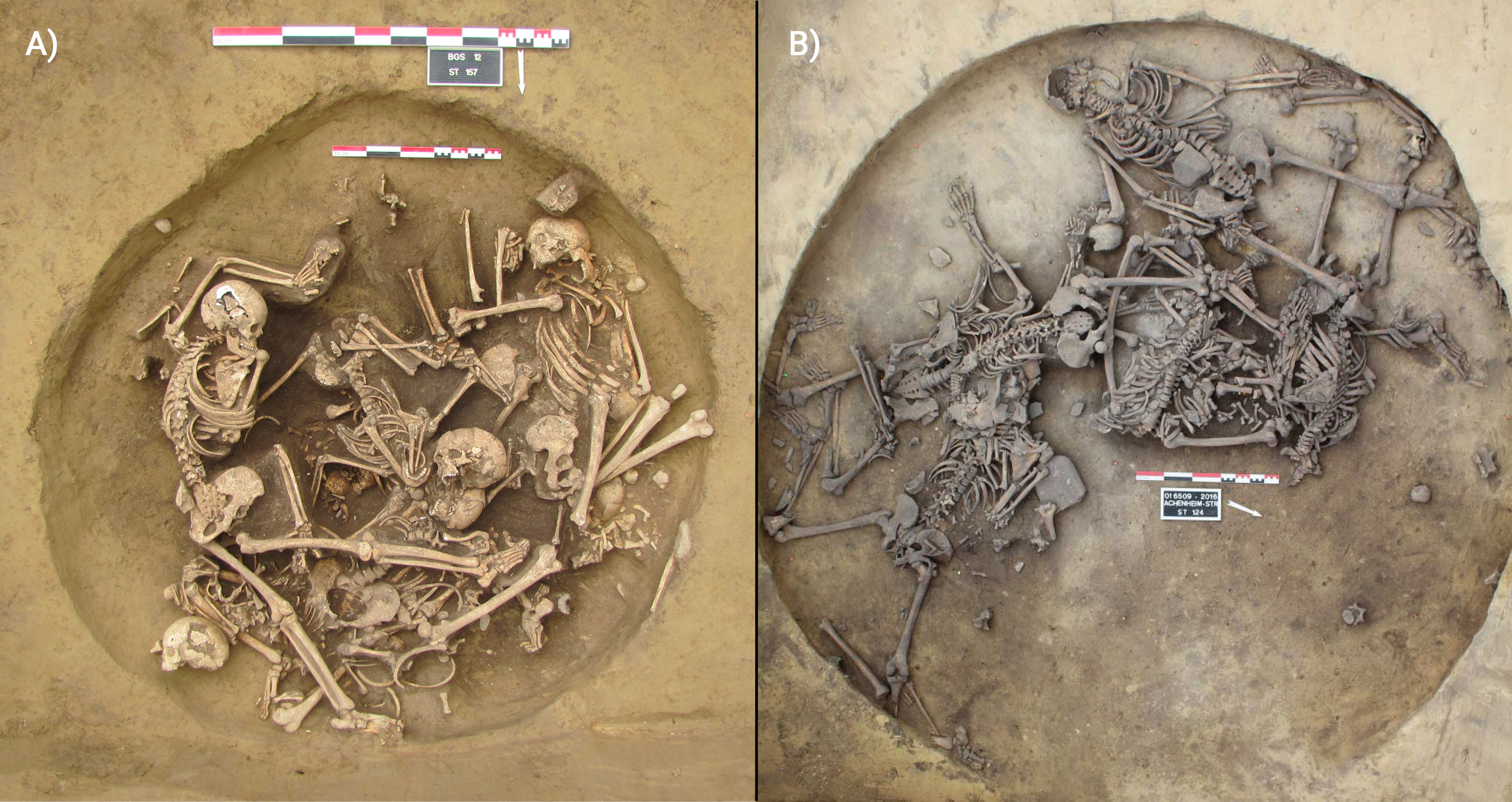 Los dos principales contextos arqueológicos analizados en el estudio (A: fosa 157 de Bergheim – Autoría: F. Chenal; B: fosa 124 de Achenheim – Autoría: P. Lefranc).