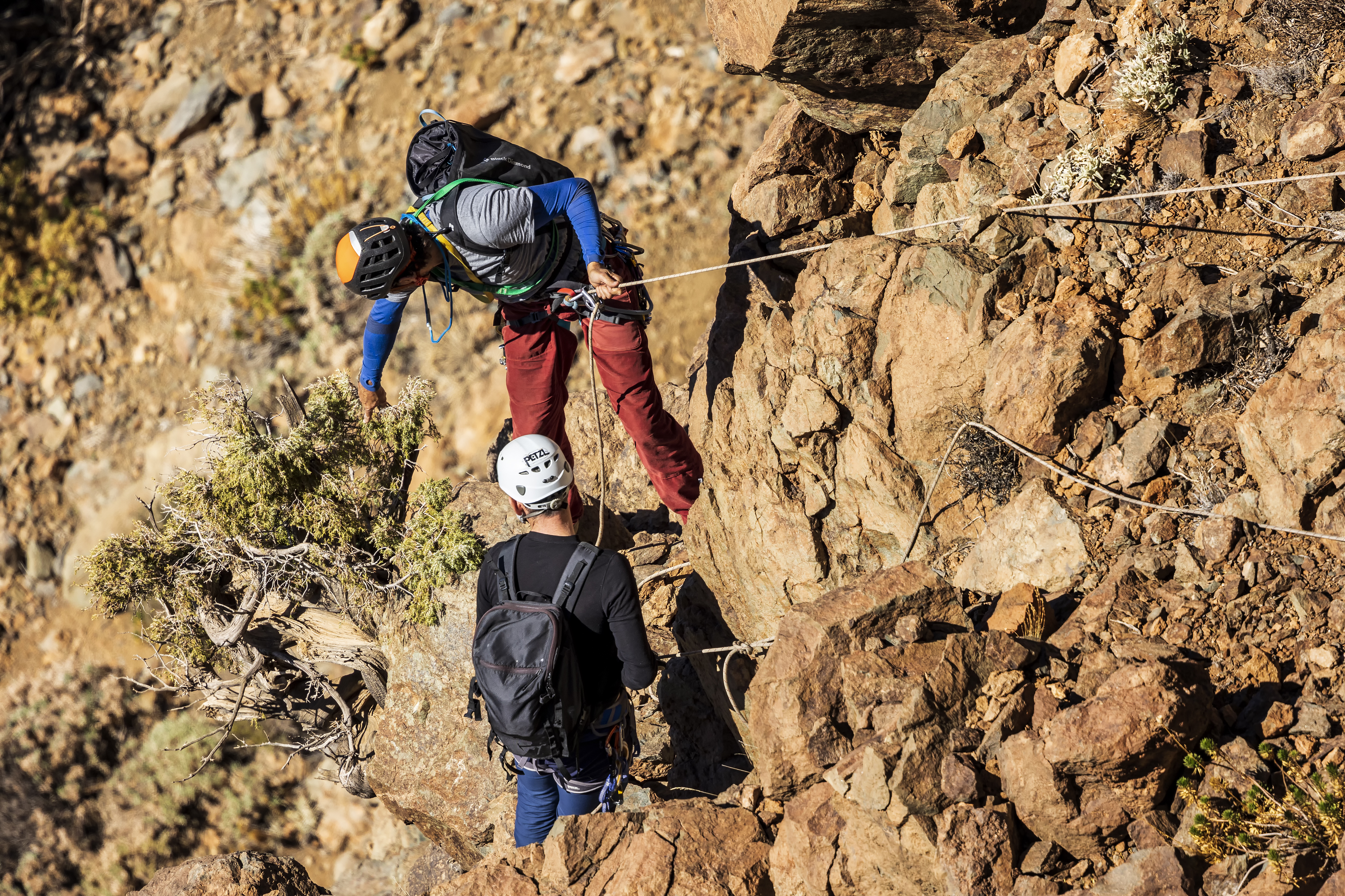 Gabriel Sangüesa y Javier Marín-Carbajal, el escalador que lideró la expedición, descendiendo a uno de los árboles. Foto Gabriel Funes