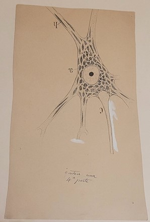Neurona