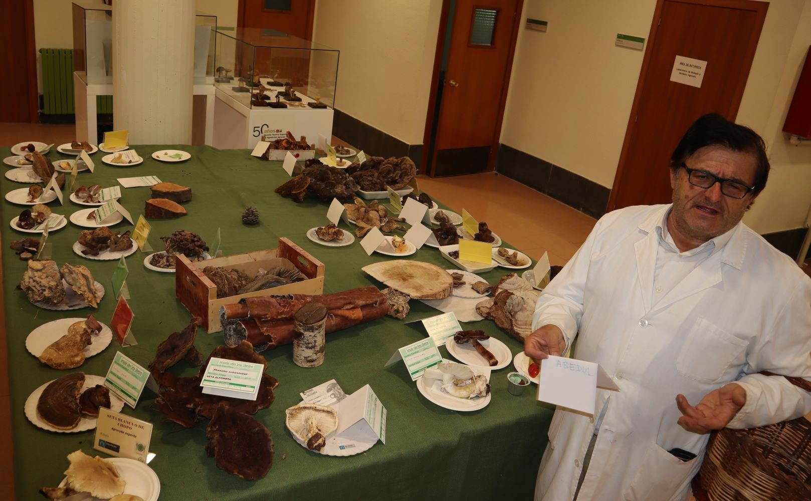 jornadasintergeneracionales_micologicas