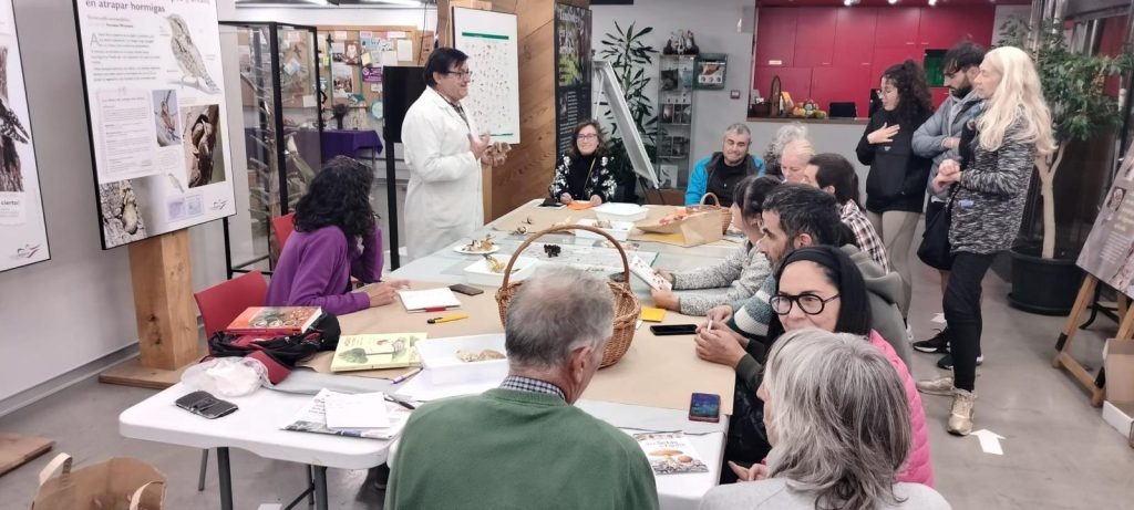 jornadasintergeneracionales_micologicas