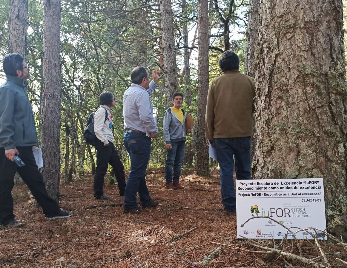 visita chilenos iuFor