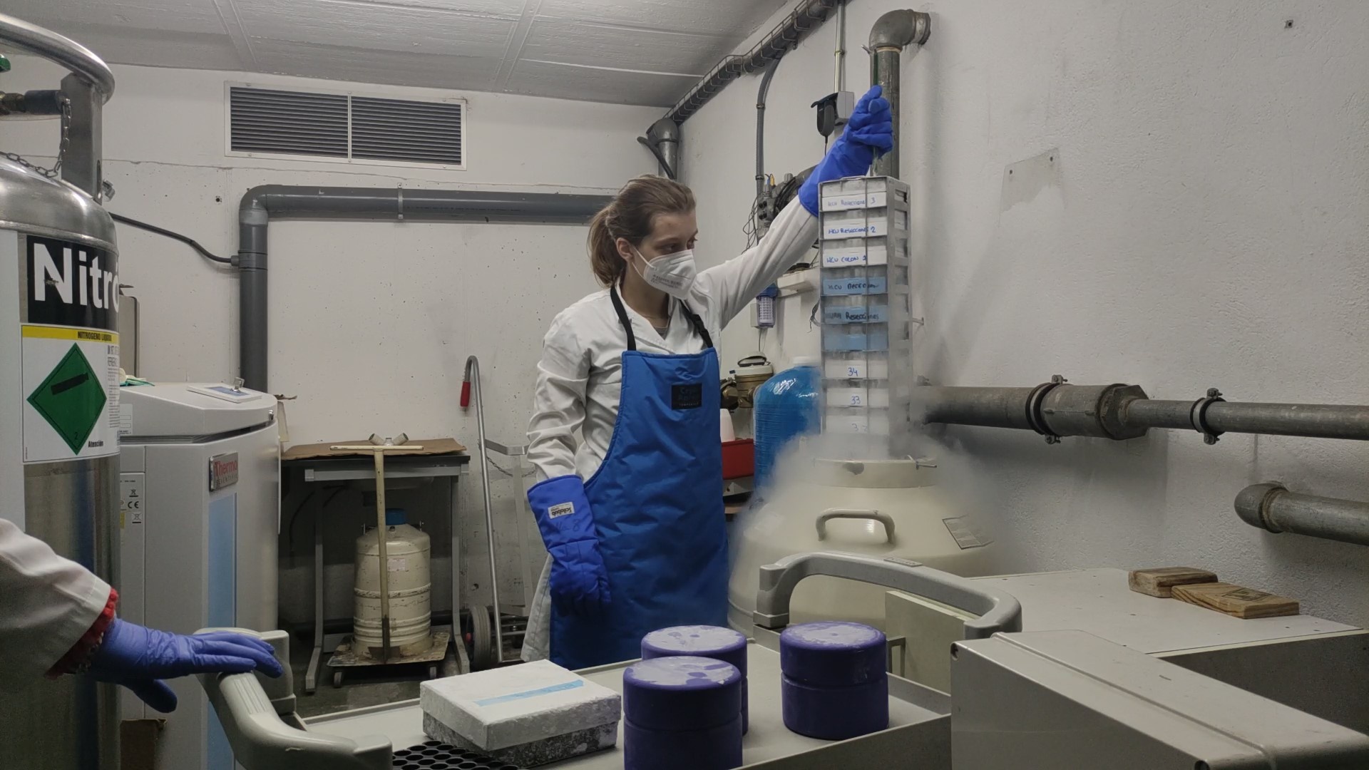 Laboratorio de Inmunologia de las Mucosas del IBGM