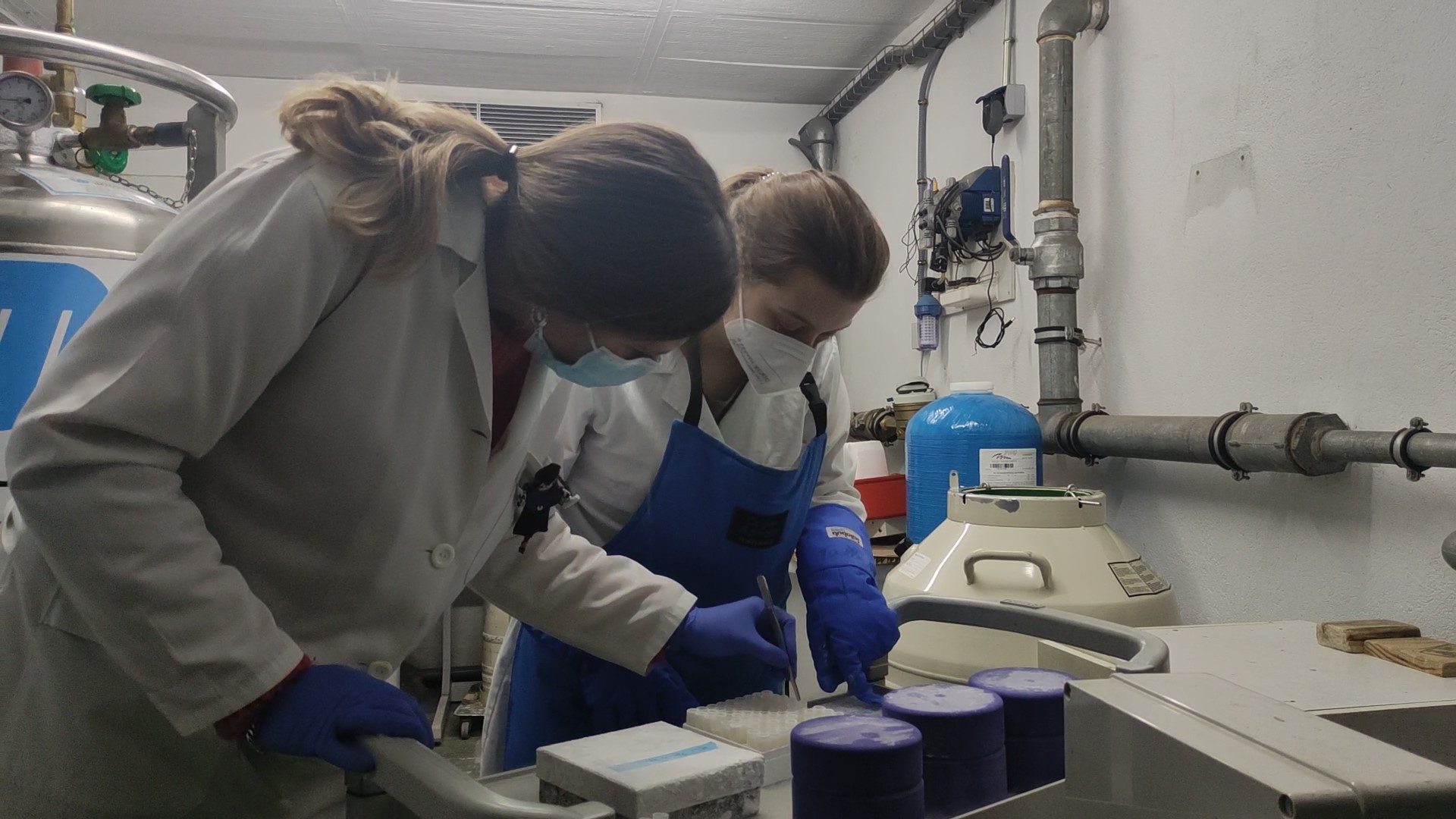 Laboratorio de Inmunologia de las Mucosas del IBGM