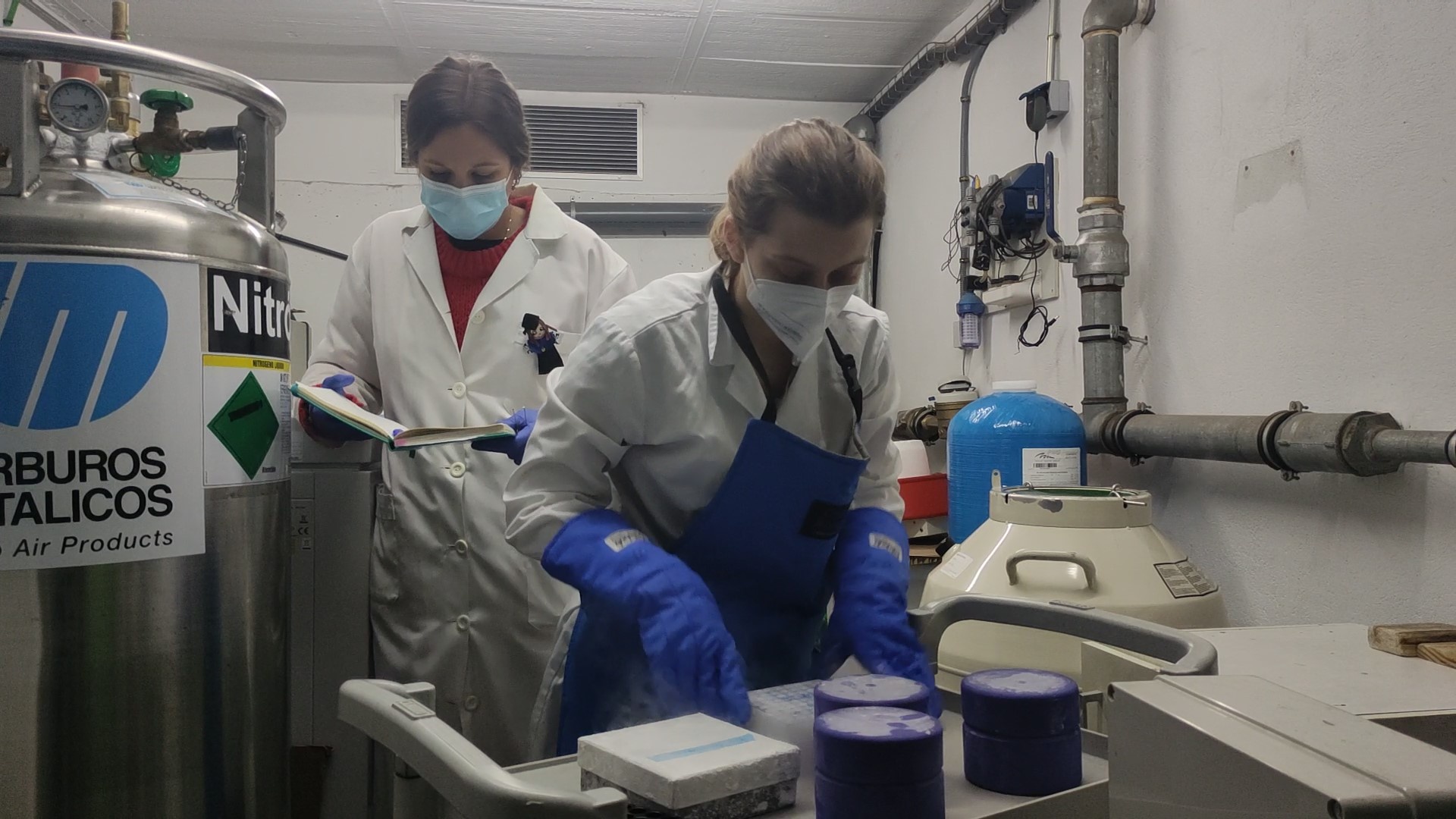 Laboratorio de Inmunologia de las Mucosas del IBGM