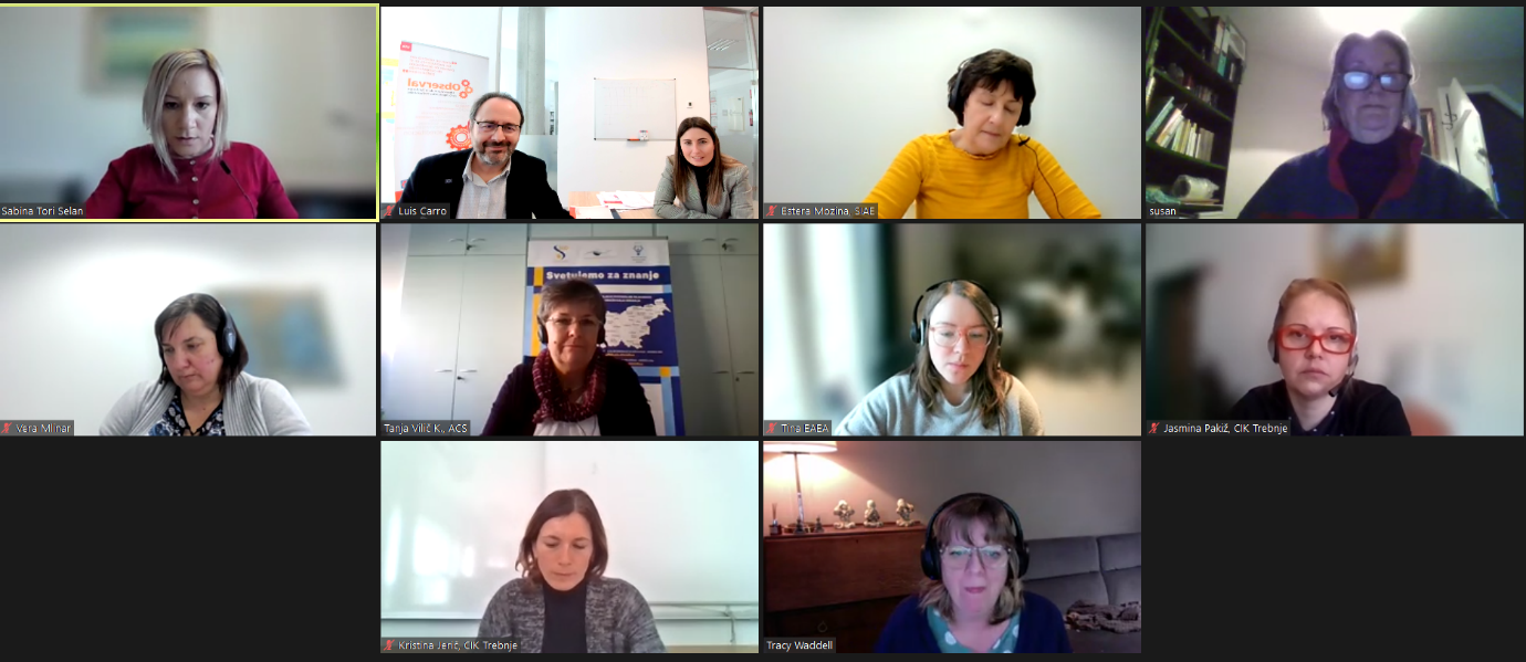 El docente e investigador Luis Carro Sancristóbal y la investigadora de Observal Janire Adrián Rojo (segundos por la izquierda) asistieron a la reunión online como representantes de la Universidad de Valladolid