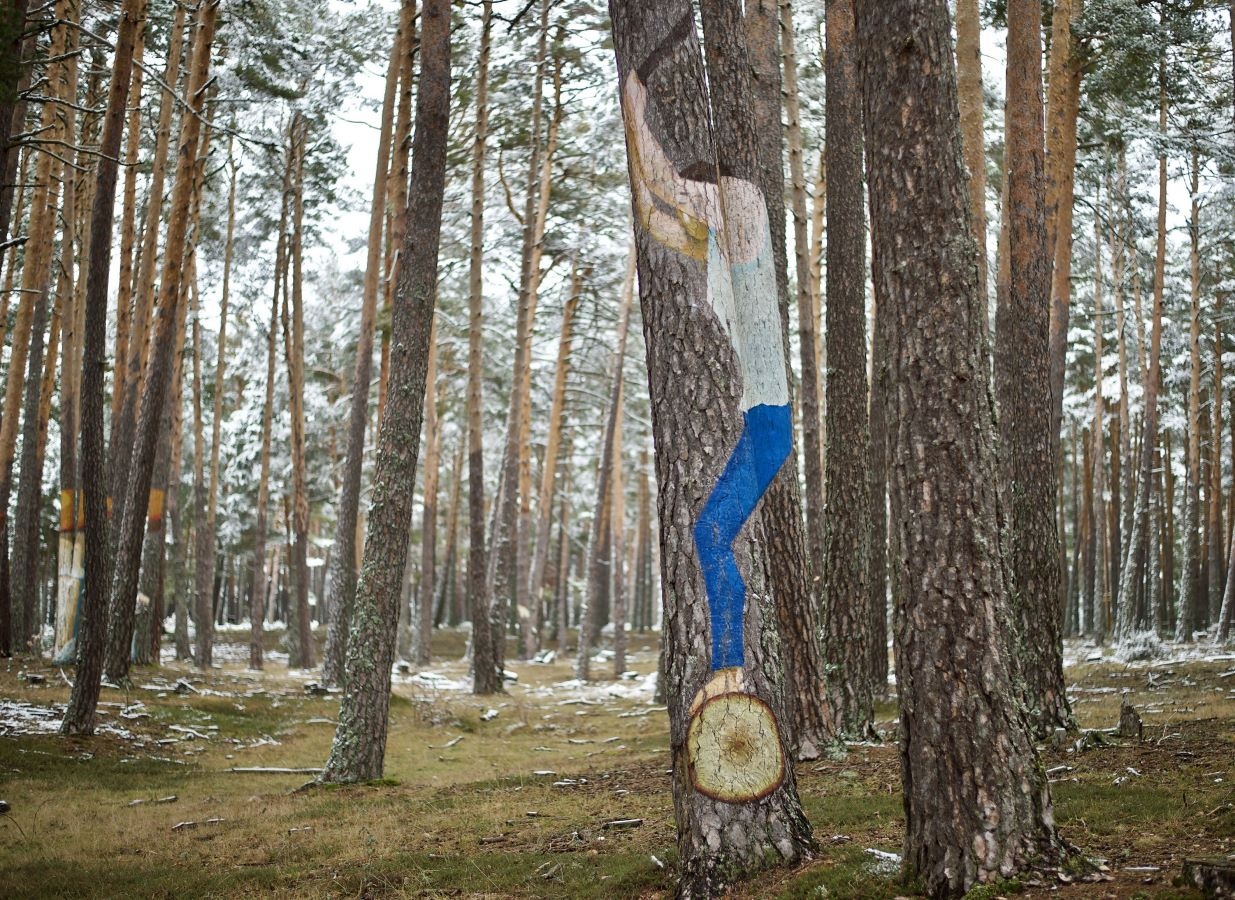 dia del árbol