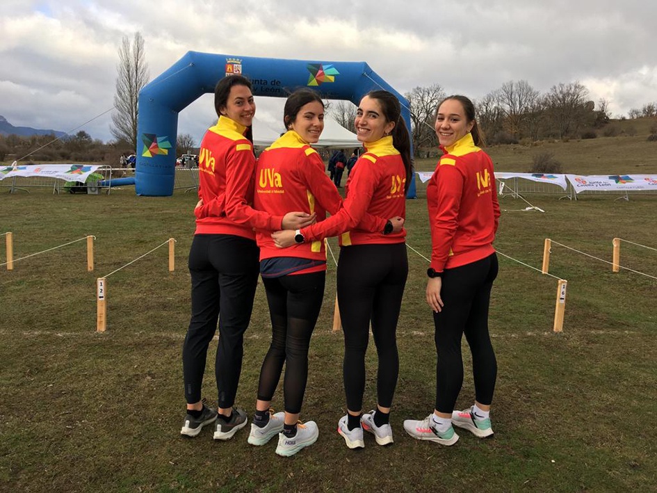 Cross Soria