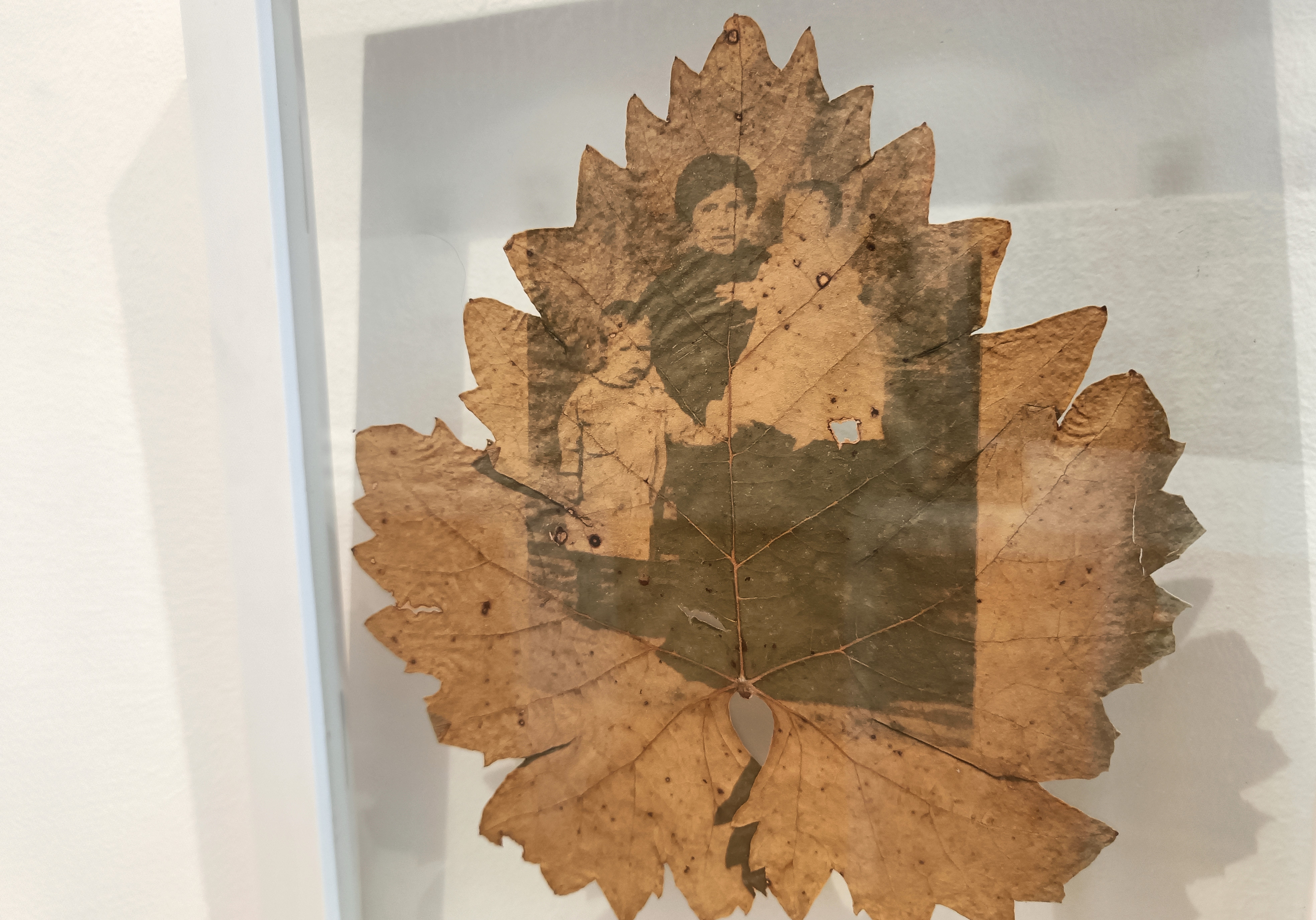 Muestra de la exposición 'Paisaje de la memoria'