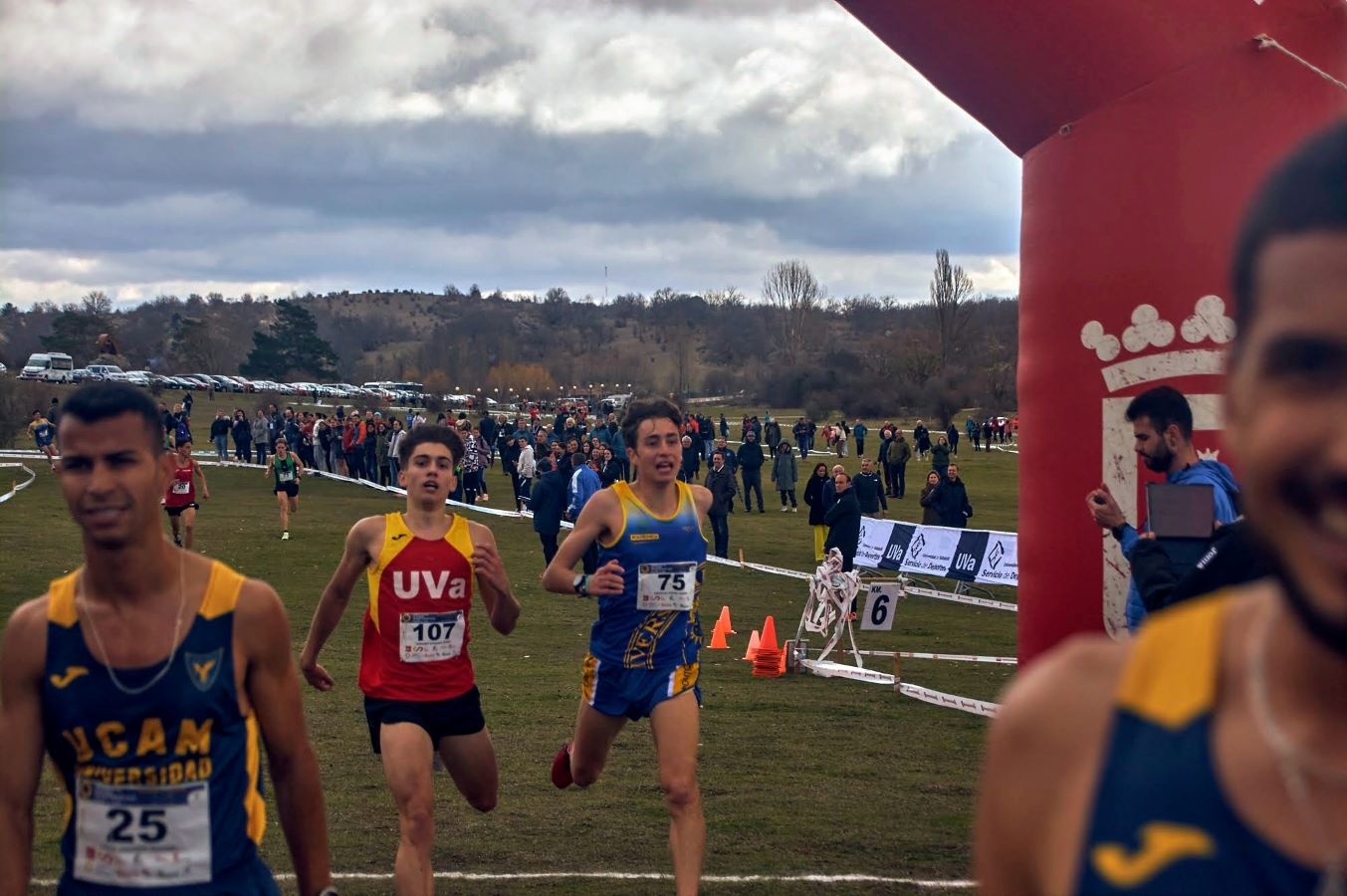 Cross Soria