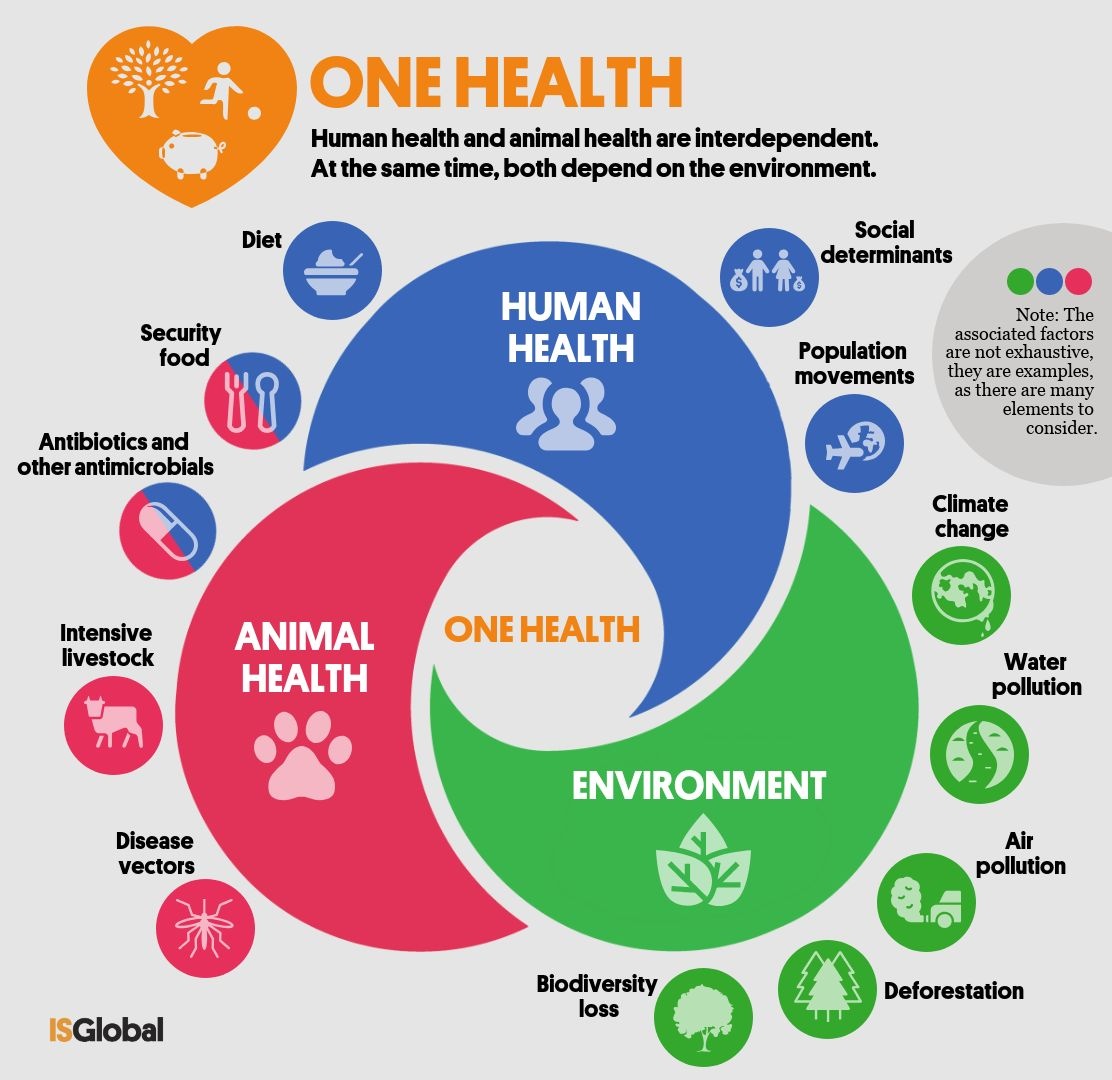 red_One_health