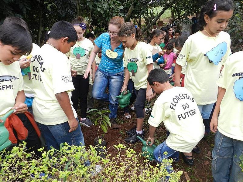 Reconocimiento Educacion y Bosques