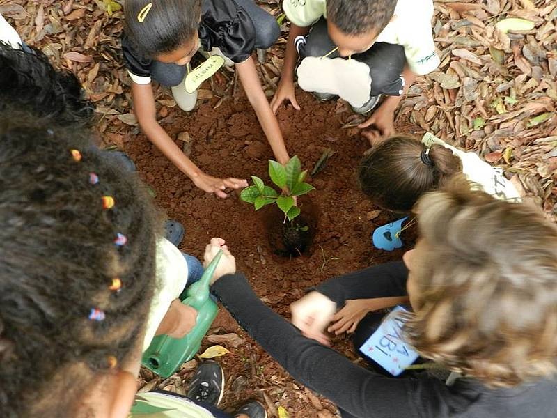 Reconocimiento Educacion y Bosques