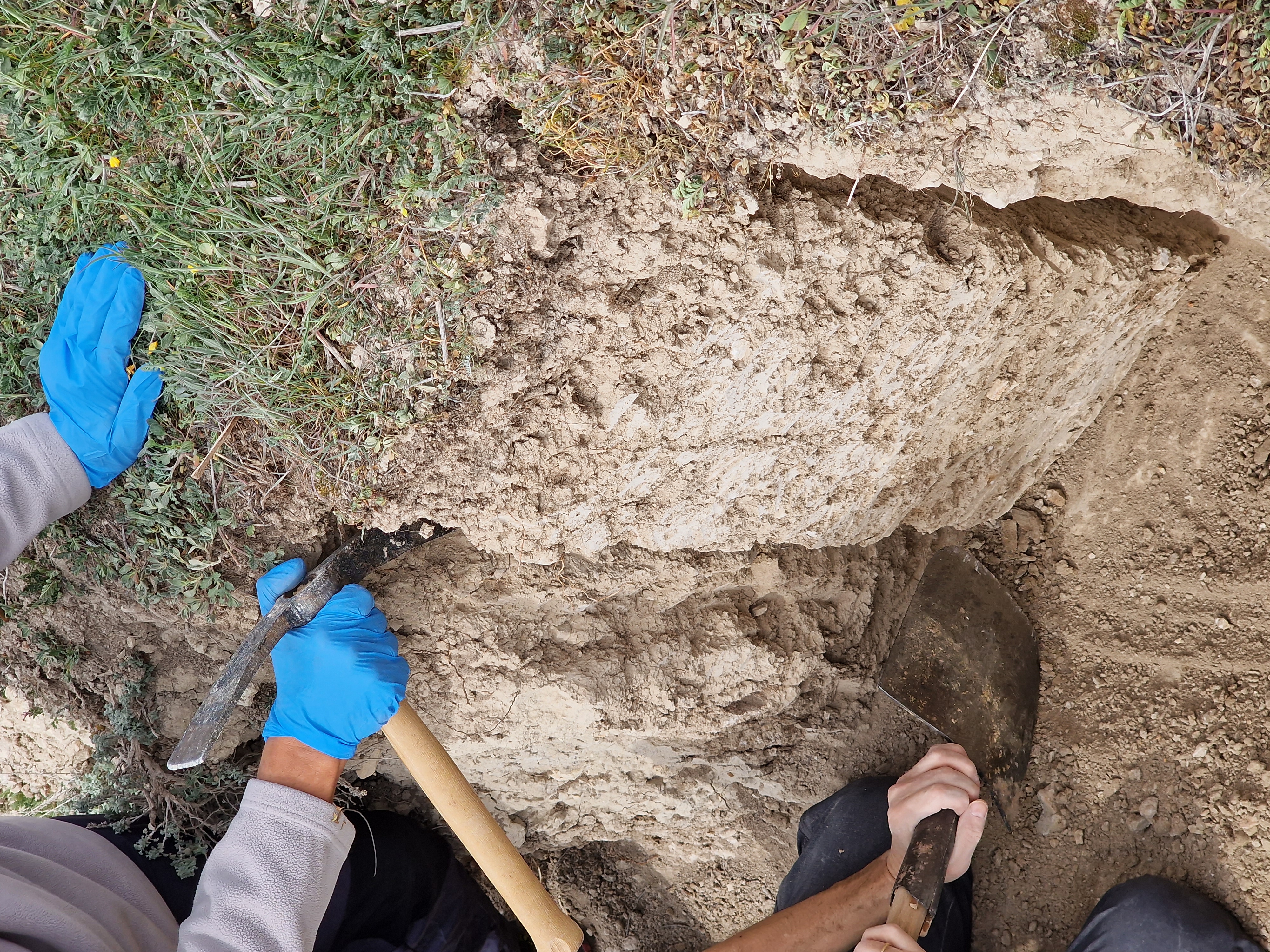 Los proyectos presentan los avances de las investigaciones sobre suelos y biodiversidad