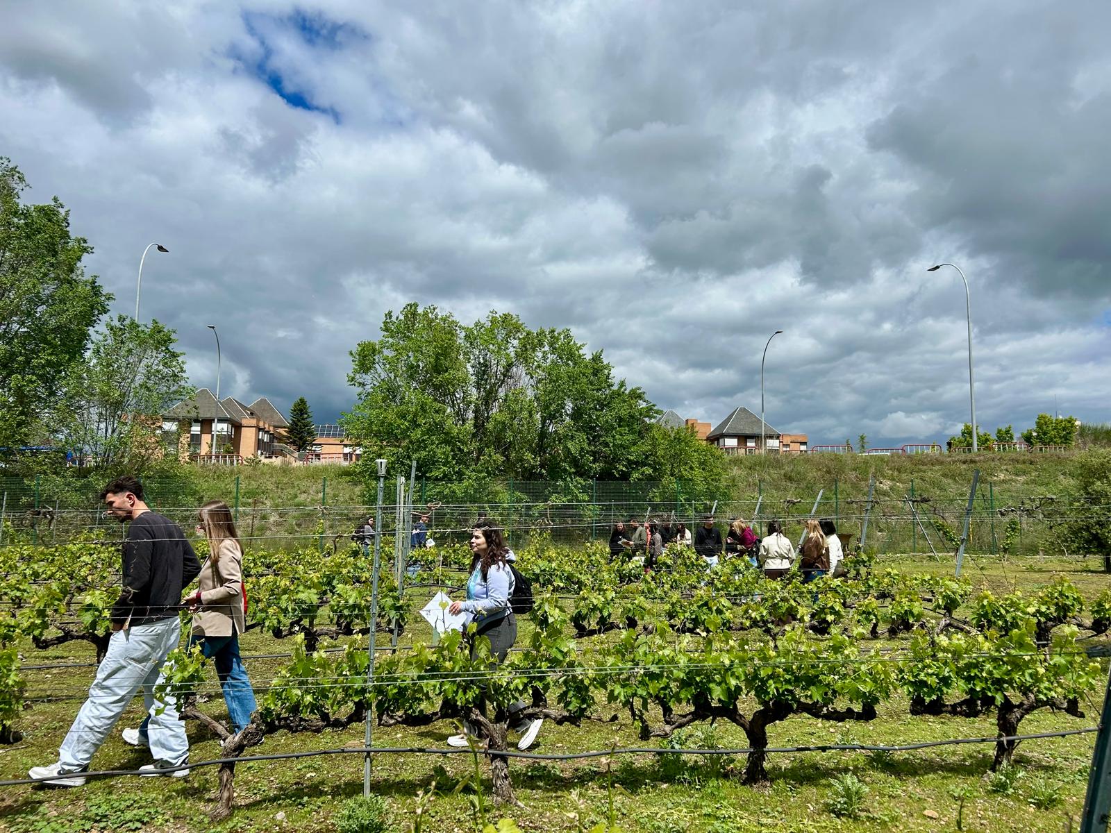 El BIP Health, Agroecology and Society refuerza su aprendizaje práctico en el campus de la UVa en Palencia