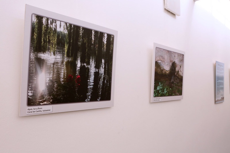 Fotografías que se pueden contemplar en la exposición de la Sala San Ambrosio del Palacio de Santa Cruz