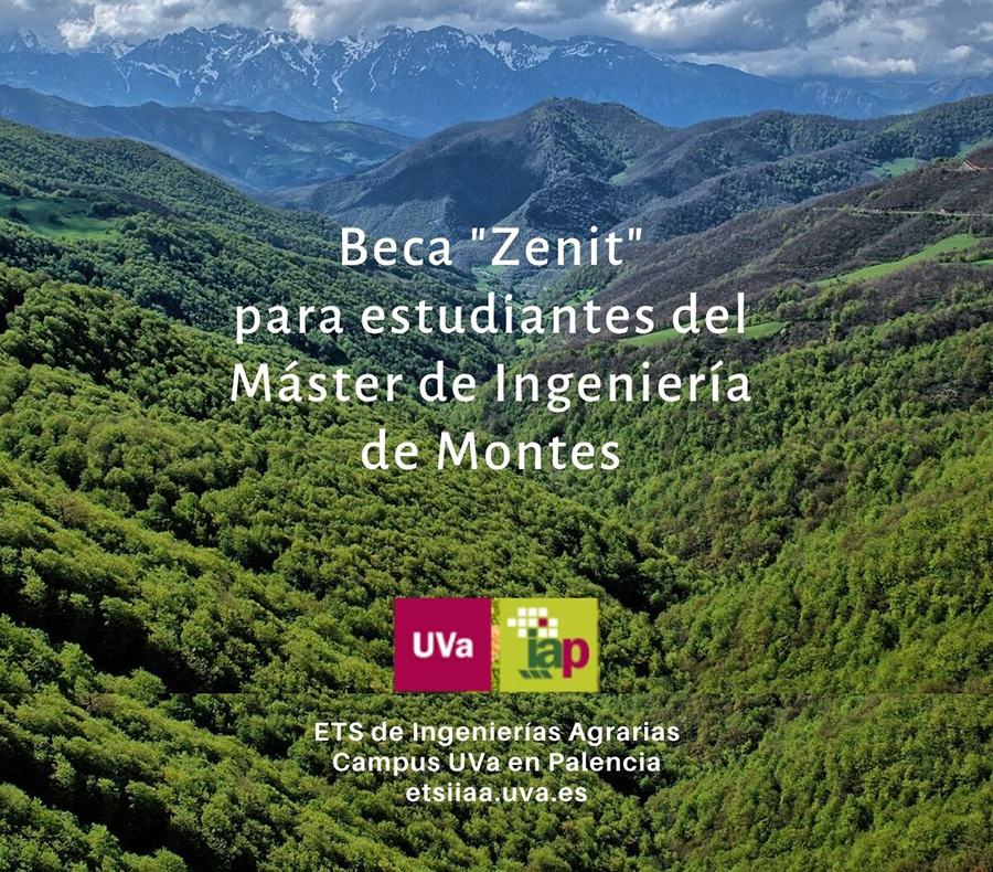 beca Zenit