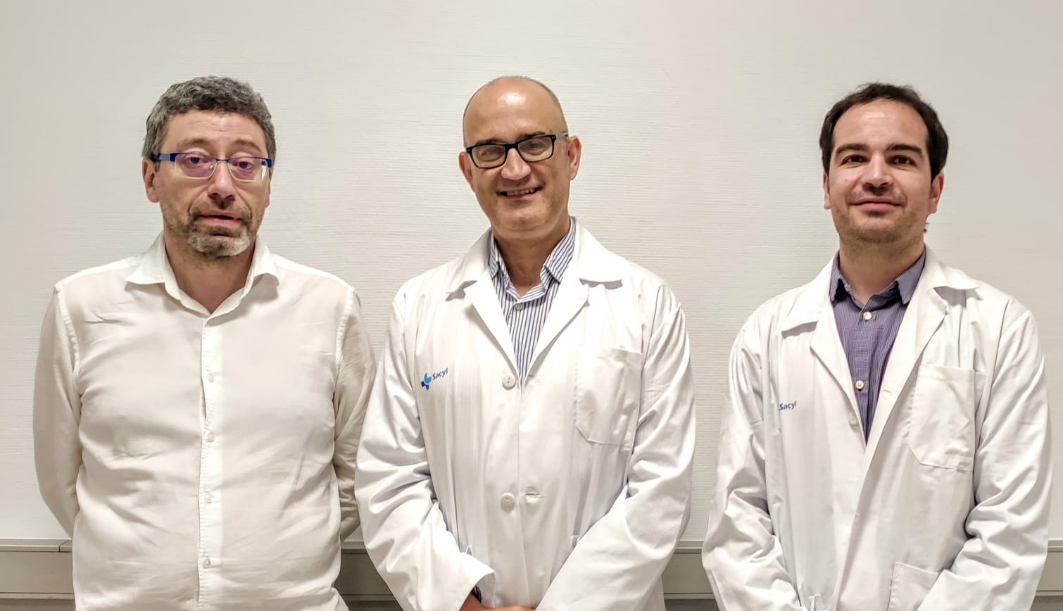De izquierda a derecha, Agustín Mayo Iscar, Miguel Ángel Galán Martín y Federico Montero Cuadrado