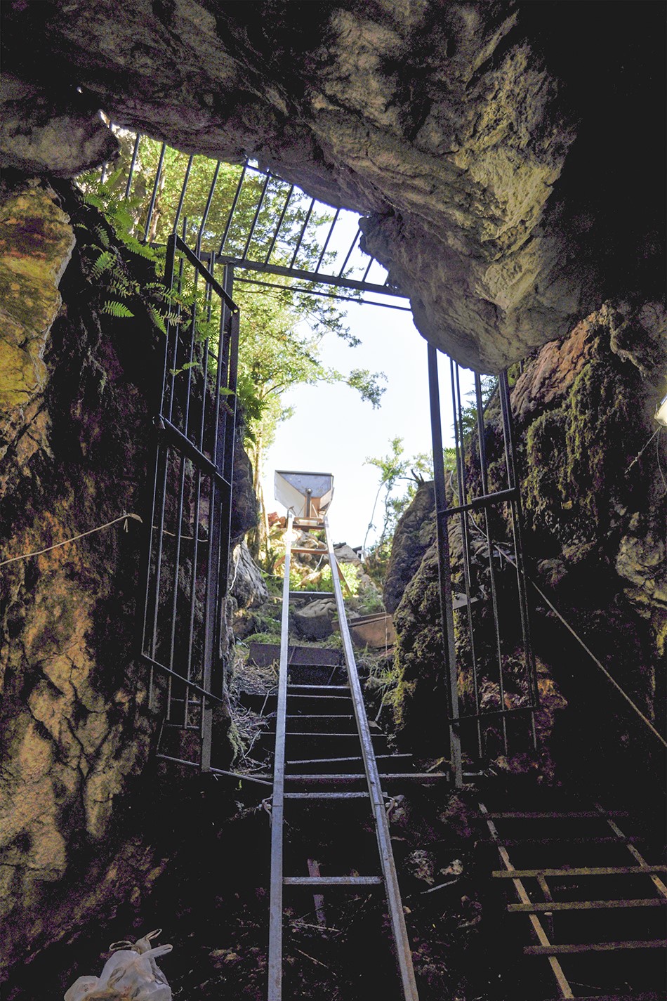 Imágenes de la entrada a la cueva de Els Trocs