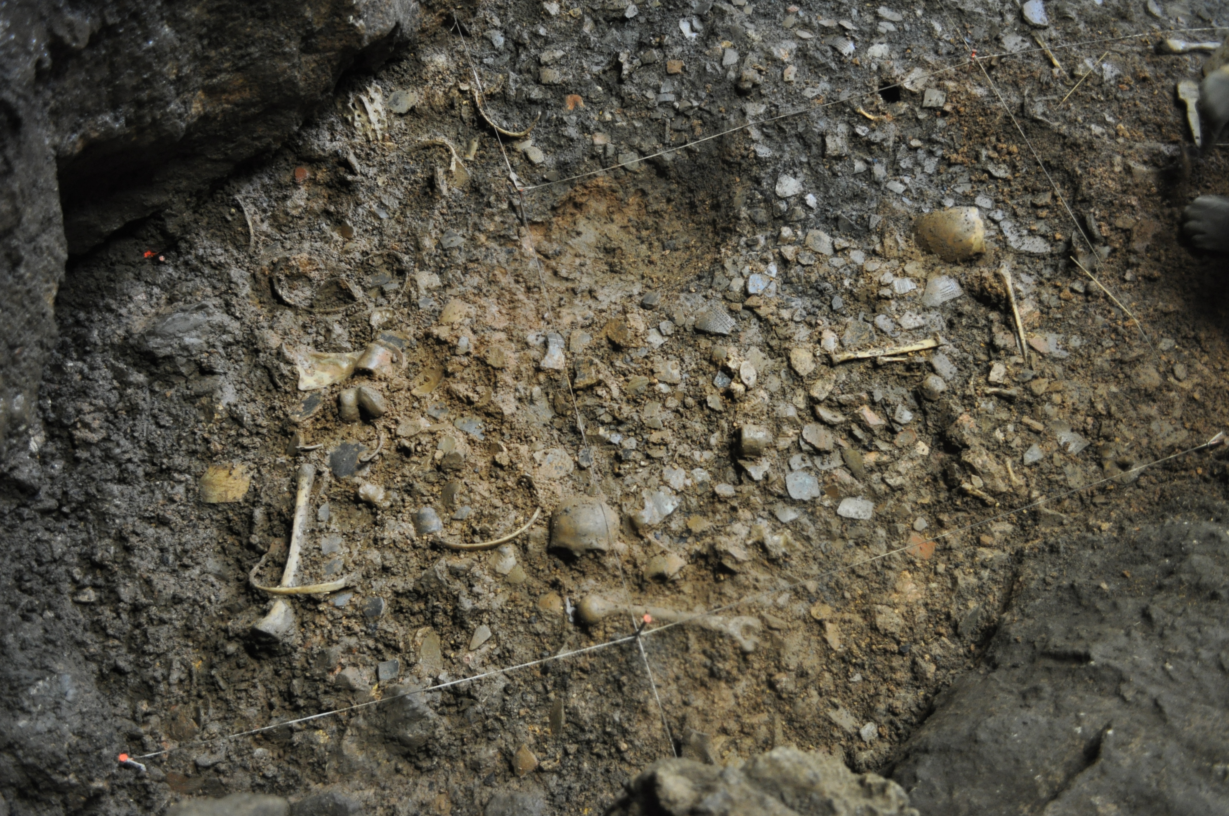 Hallazgos arqueológicos descubiertos en este yacimiento de la cueva de Els Trocs, entre los que destacan los huesos humanos cuyos análisis genéticos ha revelado la presencia del virus de la Hepatitis B en cronologías en torno al 5000 y el 4000 a.C.