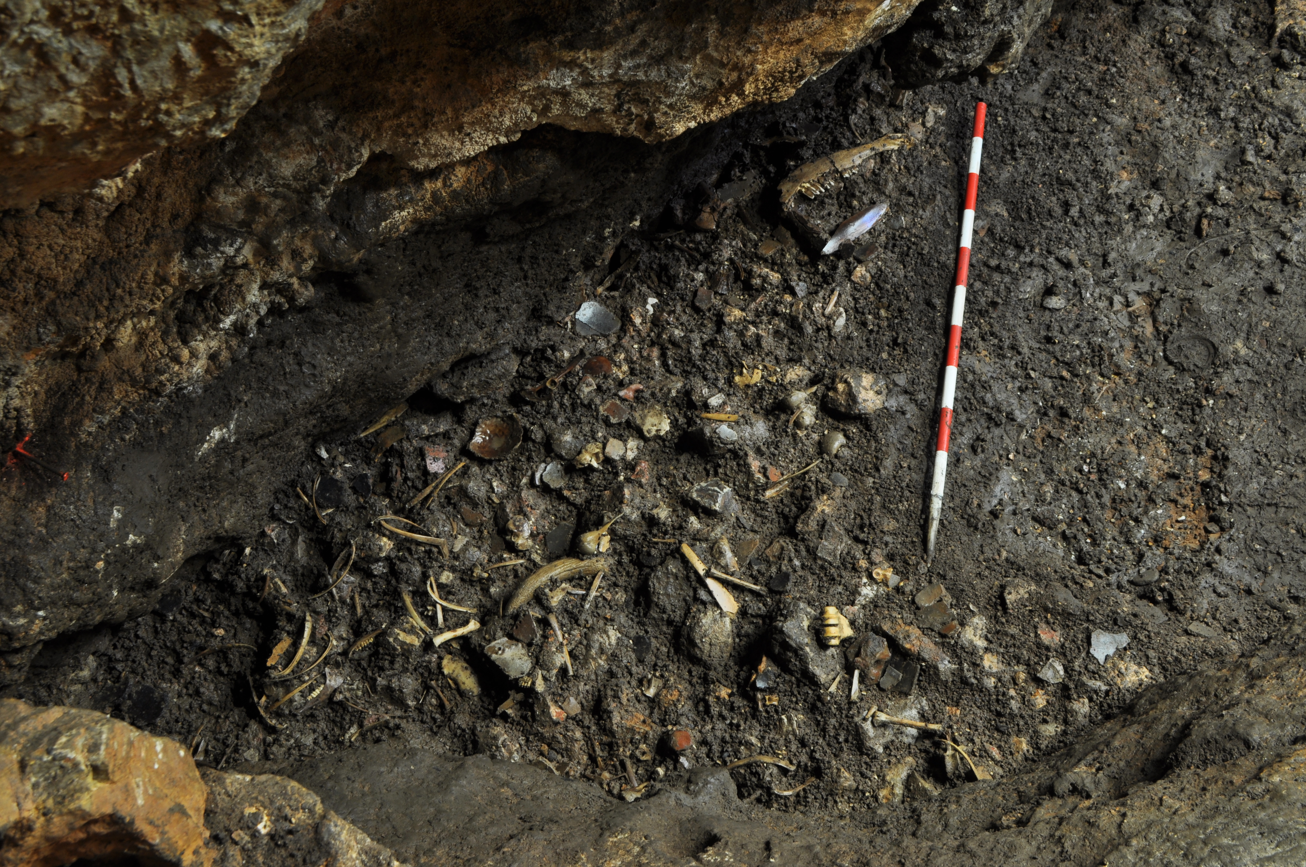 Detalle del proceso de excavación en la cueva. Lecho original del fondo de la misma con alta concentración de restos humanos, animales y cerámica.