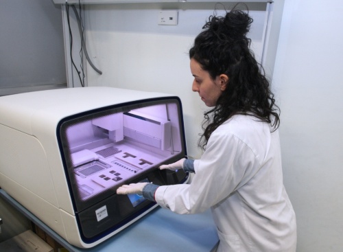 Carolina Velazquez en el laboratorio del IBGM